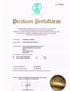 cidb license